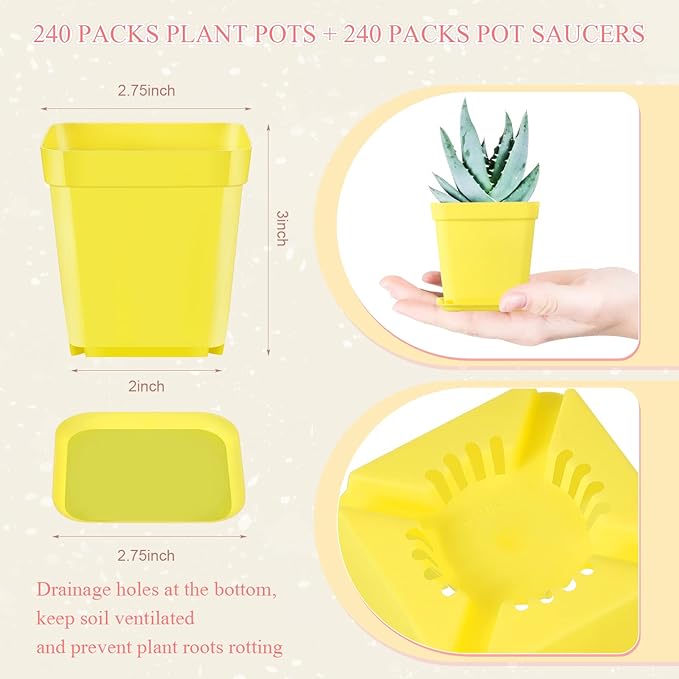Zubebe 240 Pack Plastic Seedling Pots 3 Inch Flower Pots Small Square Plastic Plant Pots Succulent Planter Nursery Pots with Saucers for Outdoor Indoor Starting Seedlings Garden Room (Colorful)