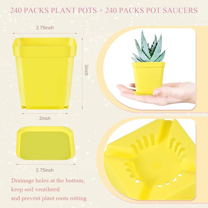 Zubebe 240 Pack Plastic Seedling Pots 3 Inch Flower Pots Small Square Plastic Plant Pots Succulent Planter Nursery Pots with Saucers for Outdoor Indoor Starting Seedlings Garden Room (Colorful)