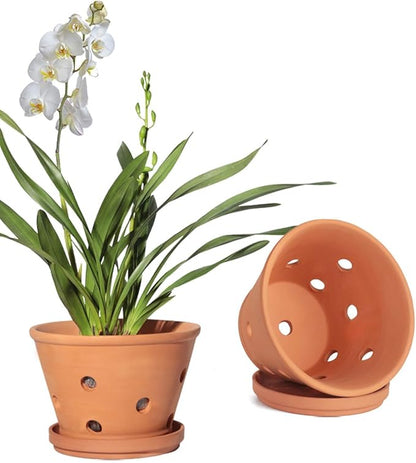 vensovo 8 Inch Terracotta Orchid Pots with Holes and Saucers, 2 Pack Large Clay Planters for Repotting, Terra Cotta Pots for Indoor & Outdoor Plants, Promotes Air Circulation