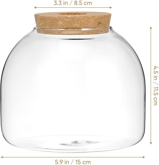 Glass Terrarium Jar with Airtight Wood Stopper for Hydroponic Plants Succulent Planter Moss and Micro Landscape Container 5.90 Inch Clear Glass Vase