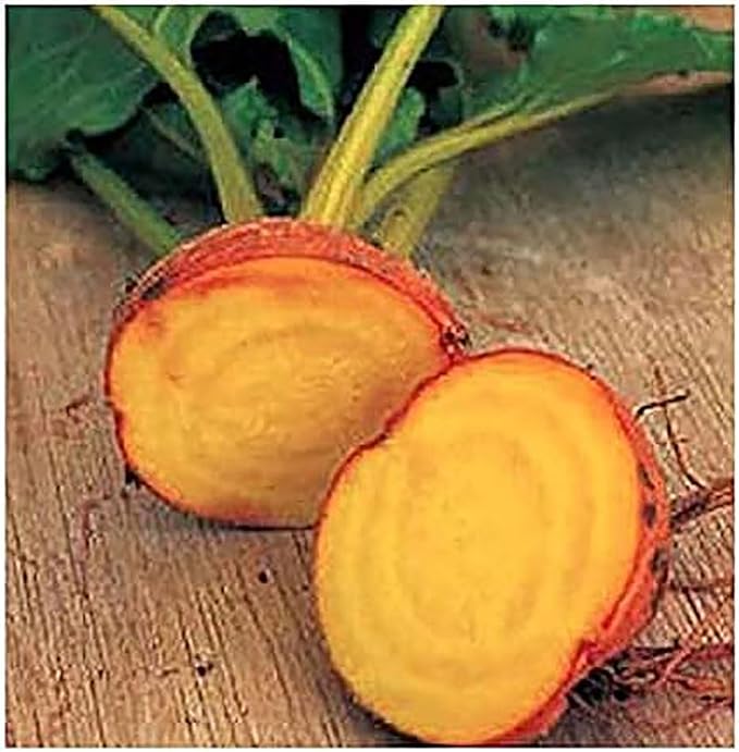 Rainbow Beet Seeds - Colorful Addition to Gardens and Cooking!