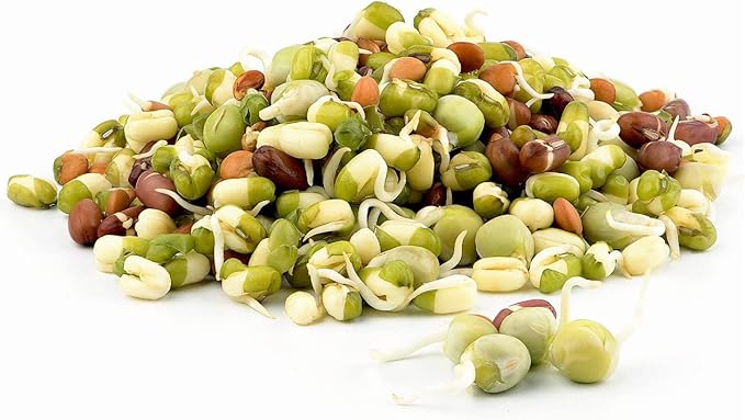 Todd's Seeds Protein Bean Sprouting Seed Mix; Green Pea, Mung Bean, Adzuki, Garbanzo, Non-GMO, Chemical Free, High Germination (1/4 Pound)