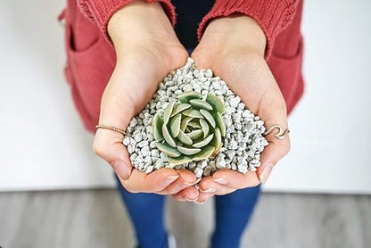 3 Gallon Bag Garden Pumice (3/16" + 5/16" Blend) 12lbs