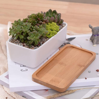 White Ceramic Succulent Plant Pots, 1 Rectangular Flower Pot + 1 Round Planter, Set of 2 Small Cactus Container, Bonsai Pots, Succulent Pots with Drainage Hole& Bamboo Tray (No Plant)