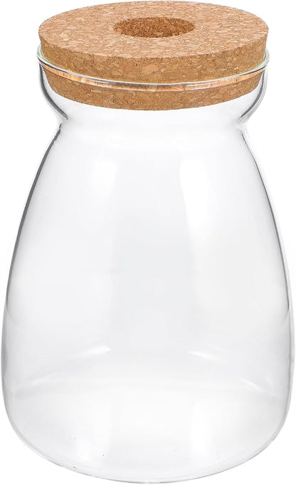 Large Glass Terrarium Jar for Hydroponic Plants - Indoor Miniature Garden Container with Open Hole Lid for Succulents and Decorative Ornaments