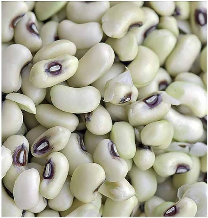 Black Eyed Peas Heirloom Treated Seeds - Non GMO - Neonicotinoid-Free