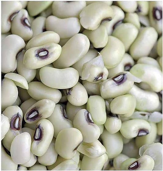 Black Eyed Peas Heirloom Treated Seeds - Non GMO - Neonicotinoid-Free