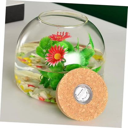iplusmile 4pcs Landscape Glass Terrarium for Hydroponic Plants Elegant Display Container for Decor for Fish Tanks and Miniature Gardens