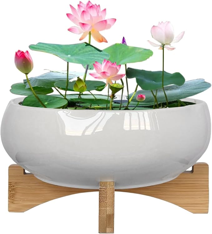 MUZHI White Ceramic Water Lotus Bowl Planter Pot with Bamboo Stand 7.8”, Lotus Shape Hydroponic Water Lily Flower Pot Planter No Drainage Hole