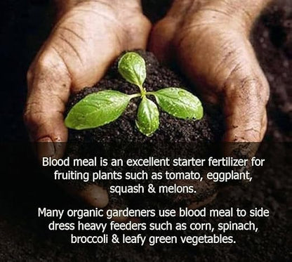 𝐁𝐄𝐒𝐓𝐒𝐄𝐋𝐋𝐄𝐑 Organic Blood Meal Fertilizer by Gardenera - 12-0-0 NPK - All-Natural Plant Food Source of Nitrogen for Organic Gardening, Flowers, Vegetables, Trees & Shrubs - 2 QUARTS