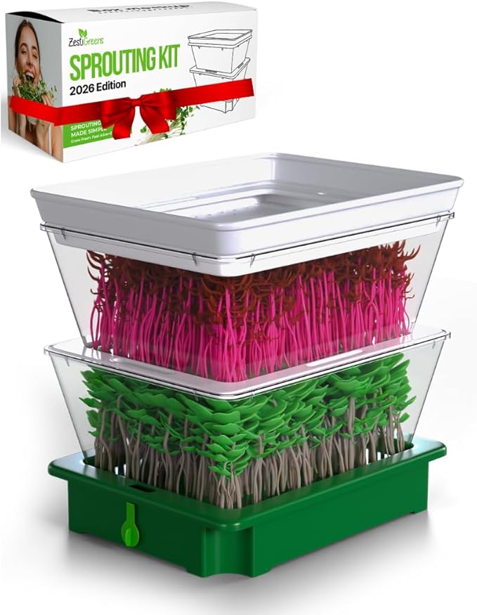 2-Tier Stackable Sprouting Kit with Sink Drain Spout & Ventilated Trays – Modular Seed Sprouter & Microgreens Germination System for Growing Broccoli, Alfalfa & Bean Sprouts.