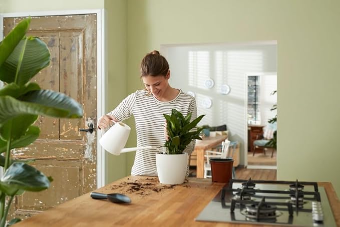 elho Self-Watering Insert 17 - Accessory for Indoor Plant Pots - Ø 17.0 x H 15.8 cm - Black/Living Black