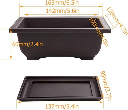 LANIAKEA 12 Pack Bonsai Pot with Trays 6.5 Inch Nursery Pots with Drainage Plastic Bonsai Training Pots for Home Furnishings Décor Flower Nursery Brown