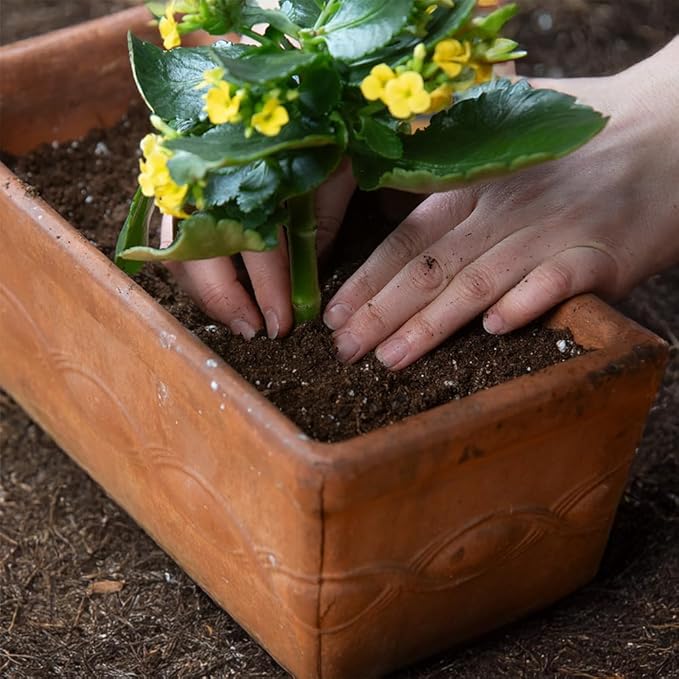 Sun Gro Horticulture 8-Quart Black Gold 1310102 Purpose Potting Soil With Control, Brown/A