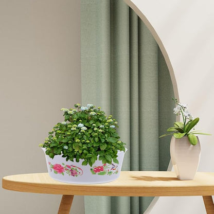 6pcs Hydroponic Planter Lotus Flower Pot 6.7 Inch Water Lily Narcissus Planting Bowls Plastic Flower Pot Plant Container Fish Bowl Plant Succulent Holder Pot