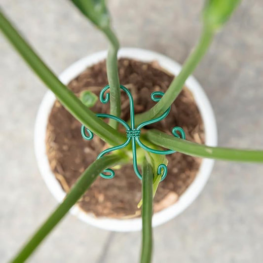 Monstera Plant Stem Support - Set of 5 Sturdy Indoor Support Sticks for Monstera & Climbing Plants - Essential Growth Stabilizers for Leaf Support - Easy-to-Use Gardening Accessories