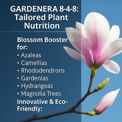 𝐁𝐄𝐒𝐓𝐒𝐄𝐋𝐋𝐄𝐑 Slow Release Hydrangea Fertilizer with Iron & Sulfur – Indoor & Outdoor Soil Acidifier for Miracle Growth [12 OZ]