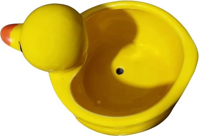 Cute Indoor Cartoon Animal Duck Shaped Ceramic Succulent Cactus Flower Plant Pots Planter with Drainage Hole - Plant Not Included (Medium)