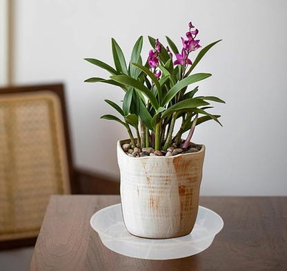 6 Pack of Plant Saucer 8 Inch, 8 inch Plant Saucer Round, Plastic Flower Plant Trays for Pots, Plant Saucers for Indoors 8", Plant Pot Saucers, Planter Tray for Planter 6-8" (8", Clear)