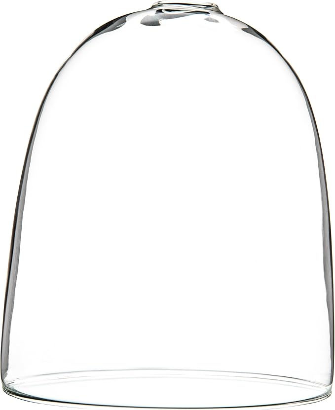 Bloomingville Large Clear Glass Terrarium