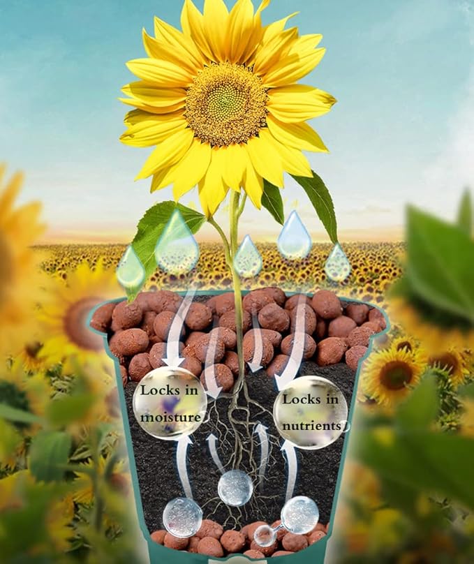 Voulosimi Clay Pebbles Hydroponic Rocks Organic Ceramsite Grow Media for Horticultural,Orchids,Drainage (12LB)
