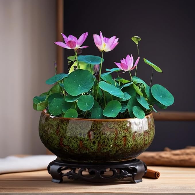 Lotus Bowl Planter, Lotus Bowls for Planting in Water Indoors, Bonsai Bowl Lotus Flower Seeds, Ceramic Planters for Indoor Plants (Green)