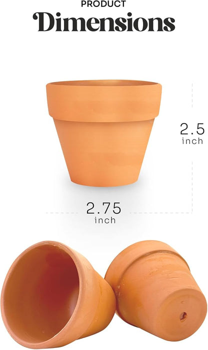 12pcs Mini Orange Pots – Small Pots for Indoor or Outdoor Plants, Mini Planters for Flowers and Greenery, for Plant Lovers