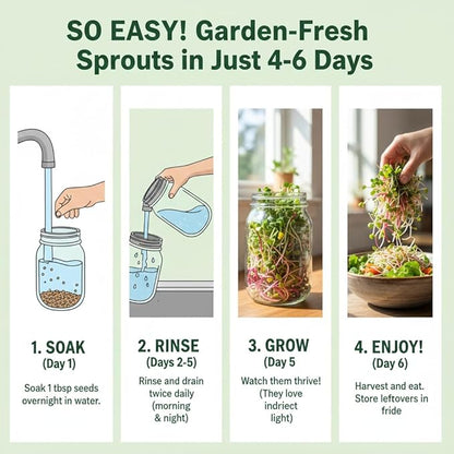 Todd's Seeds Broccoli and Friends Sprouting Seed Mix: Broccoli, Crimson Clover, Red Radish, Alfalfa, Non-GMO, Chemical Free, High Germination (1/2 Pound)