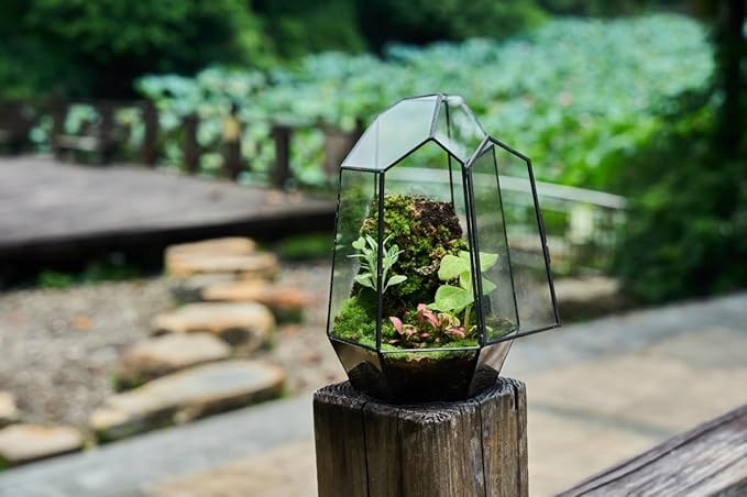 FISCRAT Metal Geometric Glass Planter | 7.9 * 6.9 * 9.8inch Rust-Proof Indoor/Outdoor Planter for Succulents, Air Plants | Space-Saving Vertical Design,a for Apartment Living and Plant Lovers