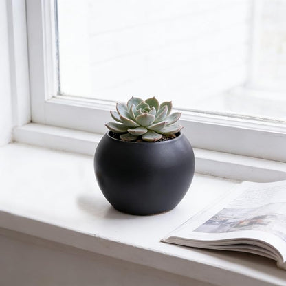 Black Spherical Ceramic Plant Pots Succulent Small Planter Indoor Modern Round Decorative Indoor-Outdoor Garden Plant Pots with Drainage Holes - Plants Not Included 3.94 x 3.94 x 3.15 Inch