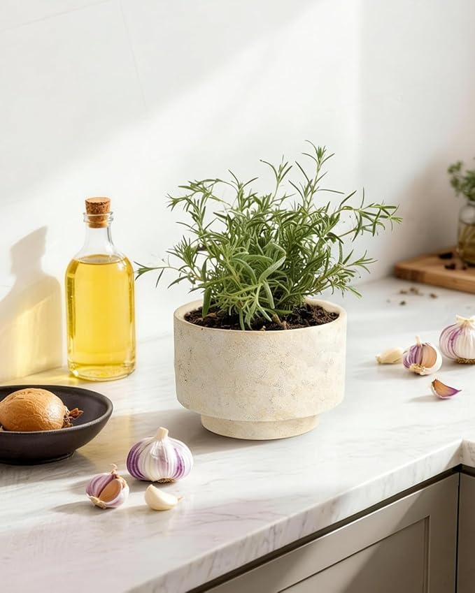 Succulent Pots, 8 Inch + 6 Inch Plant Pots for Plants with Drainage Hole, Indoor Outdoor Ceramic Planter, Set of 2 Round Flower Pots for Succulent and Plants, Beige