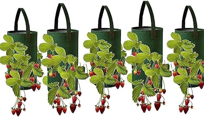Ulalaza 5PCS Potato Grow Bags with Flap Plant Grow Bags Fabric Multi Ribbon Potato Bag Tomato Vegetable Growth Non-Woven Felt Planting Bag Transparent
