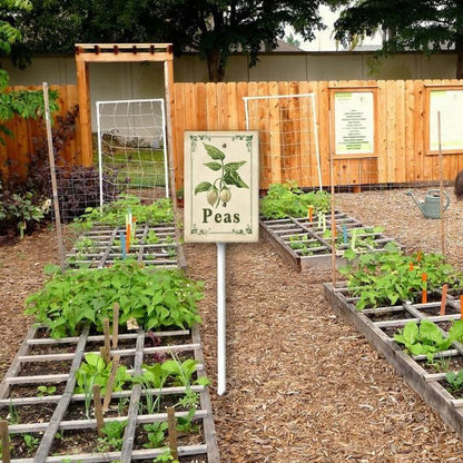 Uptell Vintage Vegetable Signs for Garden with Stake Peas Yard Sign Vegetable Garden Label Stakes Plant Markers for Outdoor Plants Waterproof 8.8x7inch