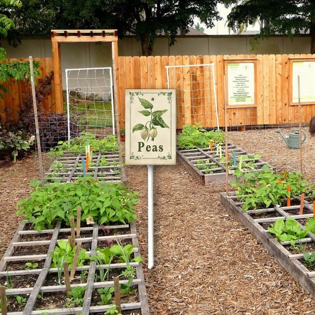 Uptell Vintage Vegetable Signs for Garden with Stake Peas Yard Sign Vegetable Garden Label Stakes Plant Markers for Outdoor Plants Waterproof 8x12inch