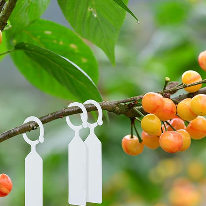 KINGLAKE GARDEN 100Pcs White Plastic Plant Tree Tags Ring Tag Hanging Plant Labels,Plant Tags Garden Labels Sturdy Nursery Garden Markers for Plant