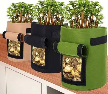 Ulalaza 5PCS Potato Grow Bags with Flap Plant Grow Bags Fabric Multi Ribbon Potato Bag Tomato Vegetable Growth Non-Woven Felt Planting Bag Transparent