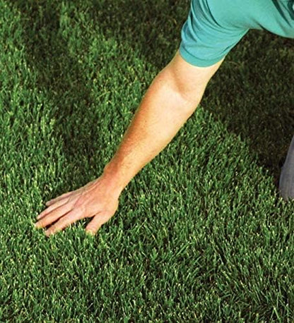 EZ Straw Lawn Repair Mix Tall Fescue Blend - Seed, Mulch and Fertilizer Combination, 11lbs (Covers 200sq ft.)