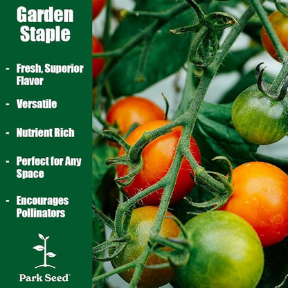 Park Seed Variety of Tomato Seeds, Planting Vegetables, Easy to Grow, Non-GMO, Perfect for Harvesting, Whopper CR Improved Hybrid, Pack of 250