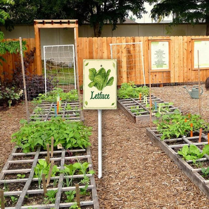 Uptell Vintage Vegetable Signs for Garden with Stake Lettuce Yard Sign Vegetable Garden Label Stakes Plant Markers for Outdoor Plants Waterproof 8x12inch