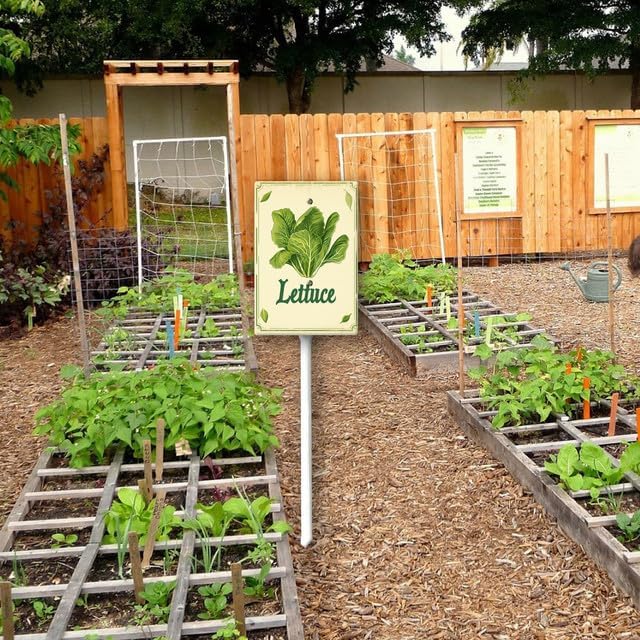 Uptell Vintage Vegetable Signs for Garden with Stake Lettuce Yard Sign Vegetable Garden Label Stakes Plant Markers for Outdoor Plants Waterproof 8.8x7inch