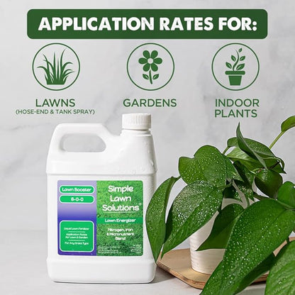 Commercial Grade Lawn Energizer Iron Nitrogen Micronutrient Booster - Liquid Turf Concentrated Fertilizer - Lawn, Garden, and Indoor Plants - Any Grass Type - Simple Lawn Solutions- 1 Quart