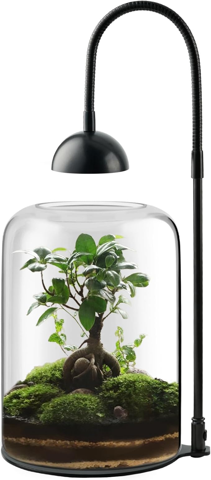 Glass Plant Terrarium with LED Light & Ventilation, Large Terrarium for Venus Fly Trap Live Plant with Ventilation, for Plants Ideal for Succulents, Home Office Desk Decor,8.2" Tall