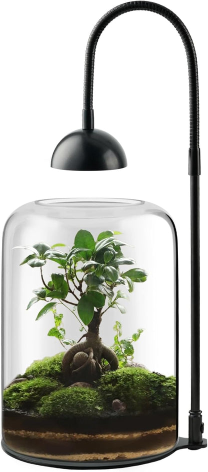 Glass Plant Terrarium with LED Light & Ventilation, Large Terrarium for Venus Fly Trap Live Plant with Ventilation, for Plants Ideal for Succulents, Home Office Desk Decor,8.2" Tall