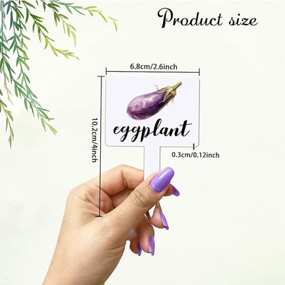arricraft 15 Pcs Acrylic Vegetables Plant Labels, Potatoes Tomatoes Carrots Plant Markers with Handwriting Name Clear Garden Tags Sign for Seed Potted Farm Supplies Garden Gift 4x2.67inch(10.2x6.8cm)