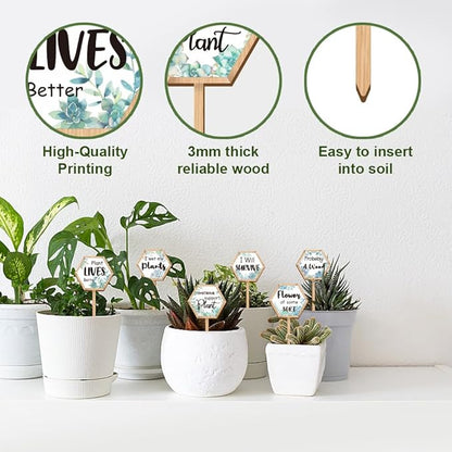 15 Pcs Hexagonal Funny Plant Markers, Water Please Pray for Me Plant Labels Wood Greenery Garden Tags for Vegetable Flower Herb Succulent Seedling Potted, 2.5x4.7 Inch