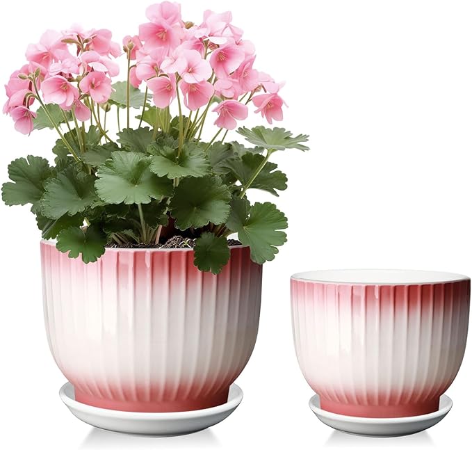 6.7 + 5.5 Inch Ceramic Plant Pots,Set of 2,Planters with Drainage Hole and Saucer,Flower pots for Indoor Plants,Elegant Design(Pink + White,