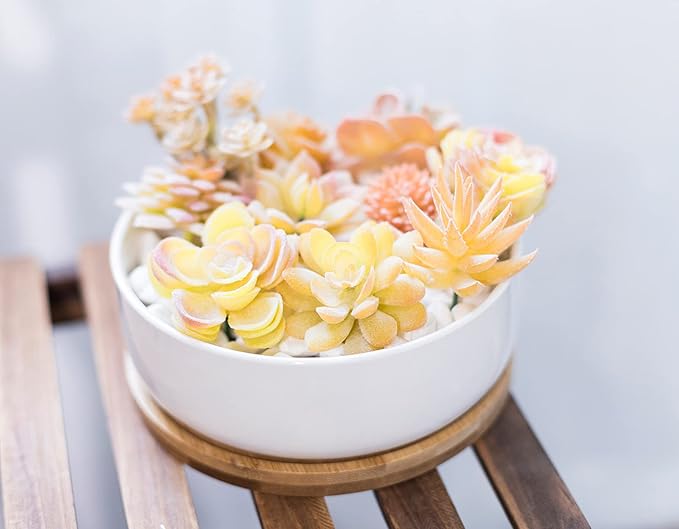 LANKER 6.3 Inch Round White Ceramic Succulent Planter Pot Decorative Cactus Plant Pot Flower Container with Bamboo Tray (Round 6.3Inch)