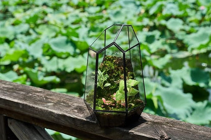 FISCRAT Metal Geometric Glass Planter | 7.9 * 6.9 * 9.8inch Rust-Proof Indoor/Outdoor Planter for Succulents, Air Plants | Space-Saving Vertical Design,a for Apartment Living and Plant Lovers