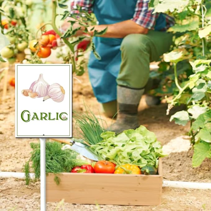 Garden Vegetable Signs With Stake Garlic Garden Signs For Vegetables Vegetable Markers For Outdoor Garden Plants Outdoor Waterproof 6x4.6inch Outdoor Garden Plants Garden Flowers Plants