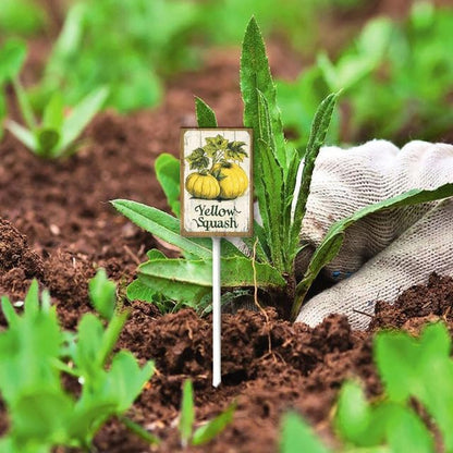 Uptell Vintage Vegetable Signs for Garden with Stake Yellow-Squash Yard Sign Vegetable Garden Label Stakes Plant Markers for Outdoor Plants Waterproof 8x12inch